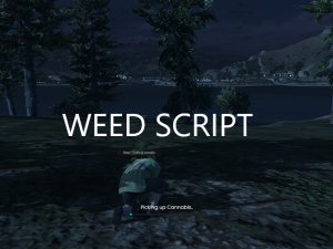 fivem weed script